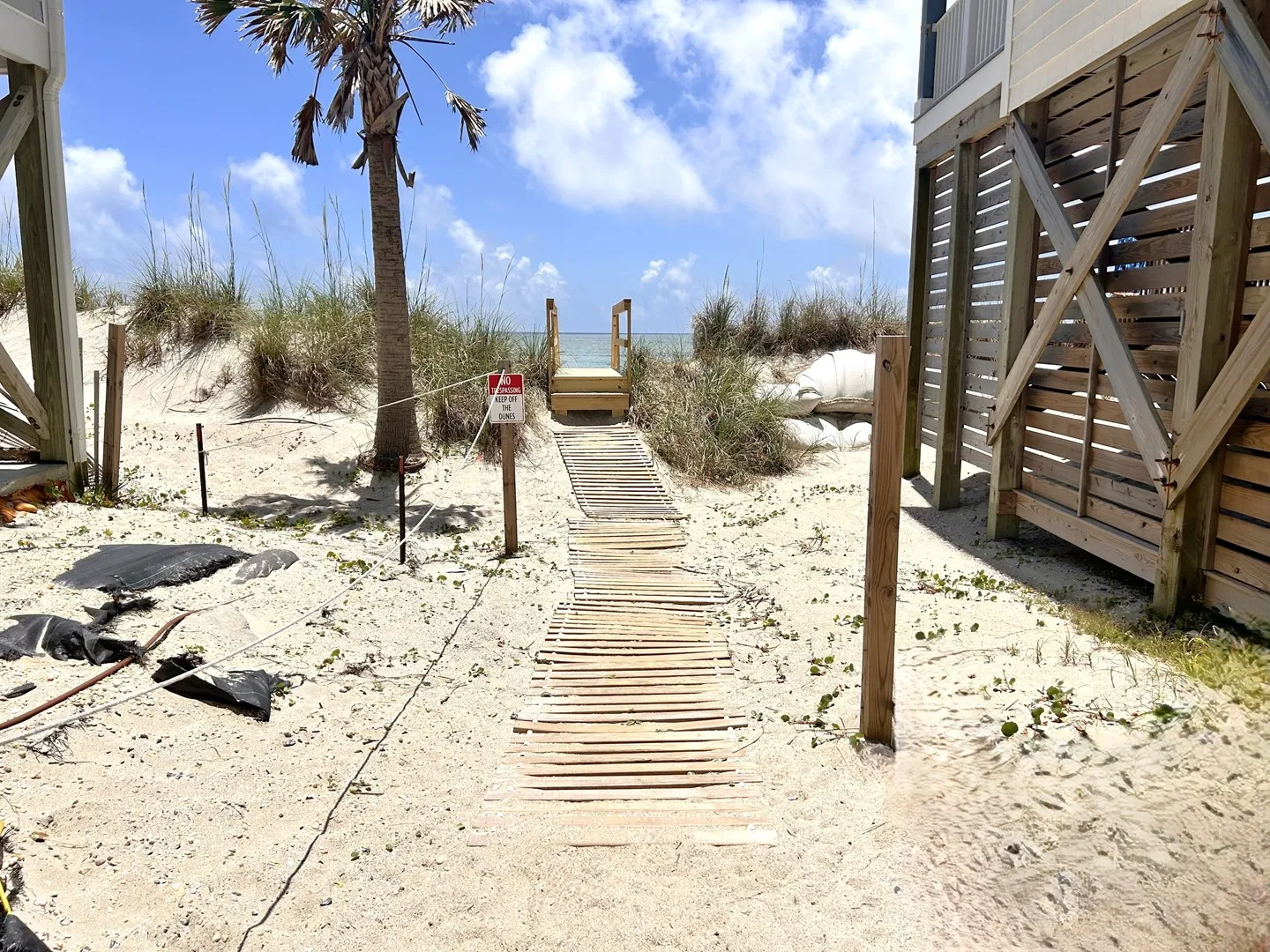 Boardwalk over the dune to the beach